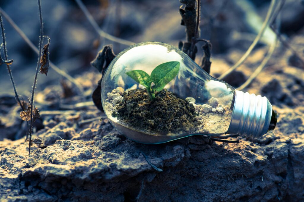 ISO 14001 Consulting Services